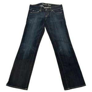 American Eagle Stretch Straight Size  2 Short
